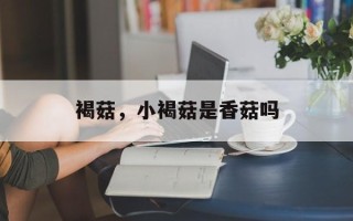 褐菇，小褐菇是香菇吗