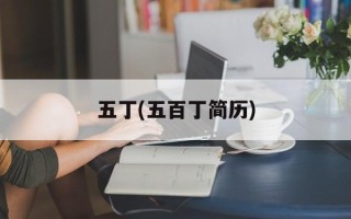 五丁(五百丁简历)