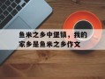 鱼米之乡中堡镇，我的家乡是鱼米之乡作文