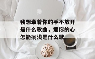 我想牵着你的手不放开是什么歌曲，爱你的心怎能搁浅是什么歌