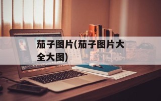 茄子图片(茄子图片大全大图)