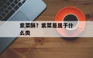 紫菜酥？紫菜是属于什么类
