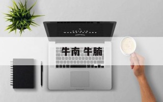 牛南 牛腩