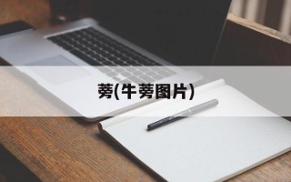 蒡(牛蒡图片)