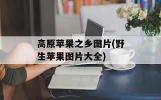 高原苹果之乡图片(野生苹果图片大全)