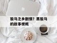 骏马之乡剧情？黑骏马的故事梗概