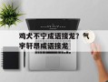 鸡犬不宁成语接龙？气宇轩昂成语接龙