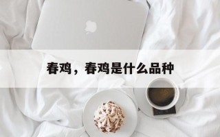 春鸡，春鸡是什么品种