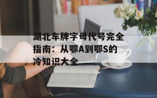 湖北车牌字母代号完全指南：从鄂A到鄂S的冷知识大全