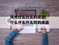 风光什么什么的成语(什么什么什么致的成语)