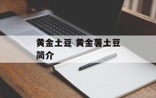 黄金土豆 黄金薯土豆简介