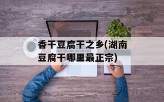 香干豆腐干之乡(湖南豆腐干哪里最正宗)