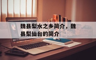 魏县梨水之乡简介，魏县梨仙台的简介