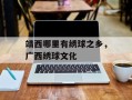 靖西哪里有绣球之乡，广西绣球文化
