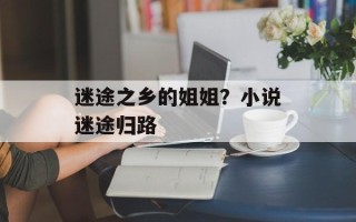 迷途之乡的姐姐？小说迷途归路