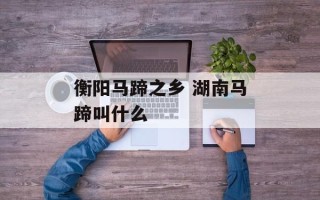 衡阳马蹄之乡 湖南马蹄叫什么