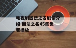 电视剧因法之名剧情介绍 因法之名45集免费播放