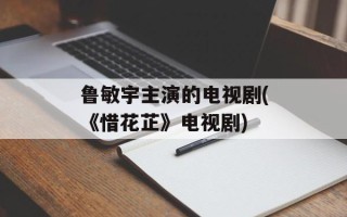鲁敏宇主演的电视剧(《惜花芷》电视剧)