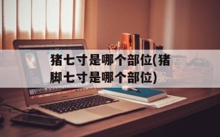 猪七寸是哪个部位(猪脚七寸是哪个部位)