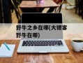 野牛之乡在哪(大镖客野牛在哪)