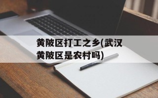 黄陂区打工之乡(武汉黄陂区是农村吗)
