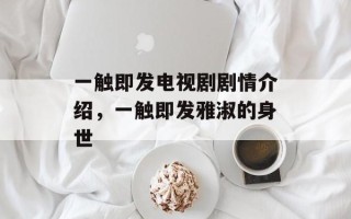 一触即发电视剧剧情介绍，一触即发雅淑的身世