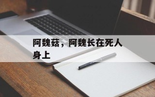 阿魏菇，阿魏长在死人身上