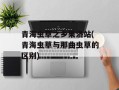 青海虫草之乡果洛站(青海虫草与那曲虫草的区别)