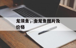 龙须鱼，金龙鱼图片及价格