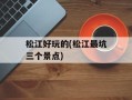松江好玩的(松江最坑三个景点)