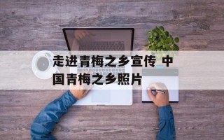 走进青梅之乡宣传 中国青梅之乡照片