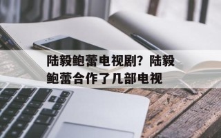 陆毅鲍蕾电视剧？陆毅鲍蕾合作了几部电视