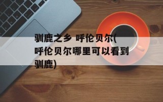 驯鹿之乡 呼伦贝尔(呼伦贝尔哪里可以看到驯鹿)