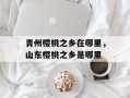 青州樱桃之乡在哪里，山东樱桃之乡是哪里