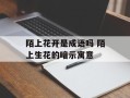 陌上花开是成语吗 陌上生花的暗示寓意