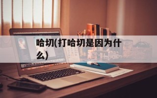 哈切(打哈切是因为什么)