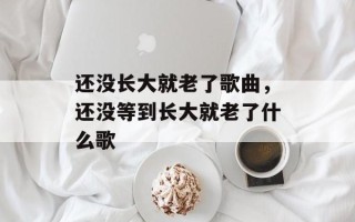 还没长大就老了歌曲，还没等到长大就老了什么歌