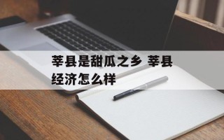 莘县是甜瓜之乡 莘县经济怎么样