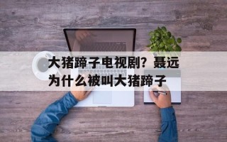 大猪蹄子电视剧？聂远为什么被叫大猪蹄子