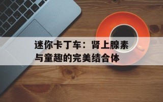 迷你卡丁车：肾上腺素与童趣的完美结合体