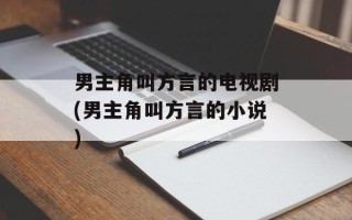 男主角叫方言的电视剧(男主角叫方言的小说)