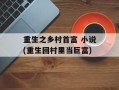 重生之乡村首富 小说(重生回村里当巨富)