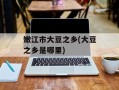 嫩江市大豆之乡(大豆之乡是哪里)