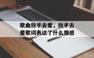歌曲放手去爱，放手去爱歌词表达了什么情感
