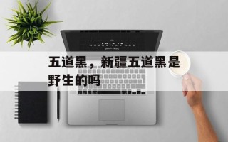 五道黑，新疆五道黑是野生的吗