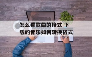 怎么看歌曲的格式 下载的音乐如何转换格式