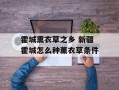 霍城熏衣草之乡 新疆霍城怎么种薰衣草条件