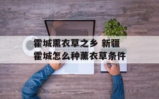 霍城熏衣草之乡 新疆霍城怎么种薰衣草条件