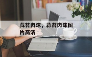 蒜苔肉沫，蒜苔肉沫图片高清