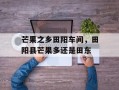 芒果之乡田阳车间，田阳县芒果多还是田东